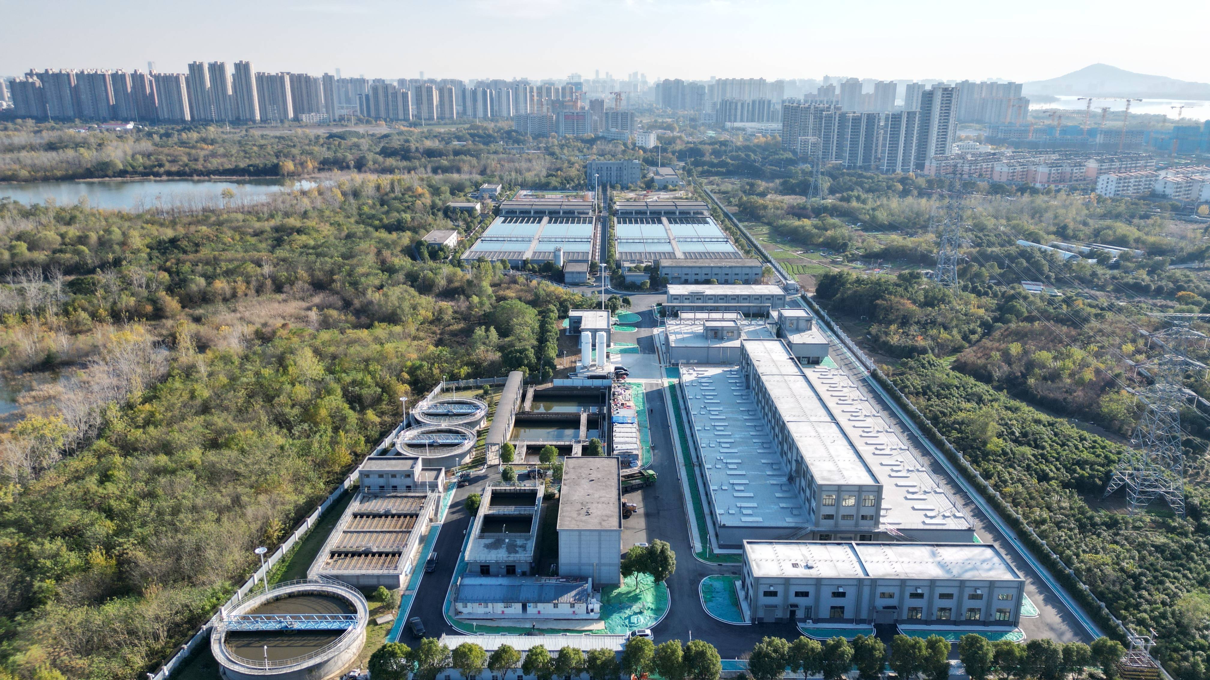 陇南市合肥专业企业价值增长(合肥市重点企业产业目录)