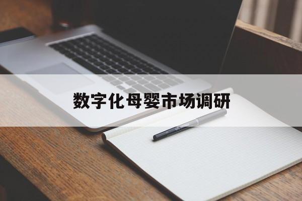 陇南市数字化母婴市场调研(数字化母婴市场调研报告)
