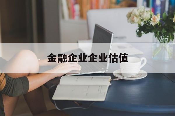 陇南市金融企业企业估值(最新企业估值怎么填)
